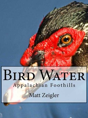 cover image of Bird Water